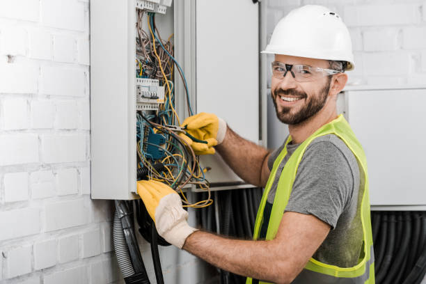 Best Electrician for Home Renovation  in Lake Zurich, IL
