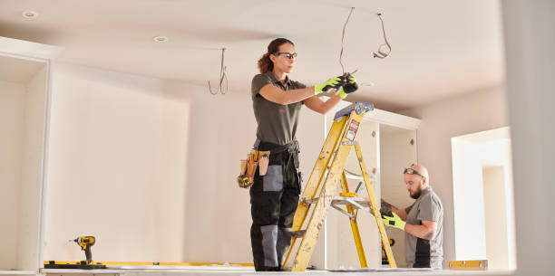 Best Electric Panel Repair  in Lake Zurich, IL